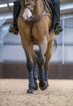 LeMieux Ultra Mesh Snug Boots Hind -Lemieux 63c05ee8 1df4 4629 b9b0 6fae341fdbb6