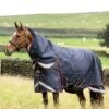 LeMieux Kudos Thermo Layer Turnout Rug 300g -Lemieux 6410c2c2 19b5 494d 9987 eb0f7d9c5f70 cee102b0 aae6 4589 ac72 9b06de02137b