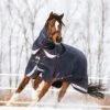 LeMieux Kudos Turnout Rug 200g 2 LeMieux Kudos Turnout Rug 200g -Lemieux 65896953 68d5 47c9 8eac 041bec9b773f 798b5bef 12b1 4895 b426 7cb13faa71da