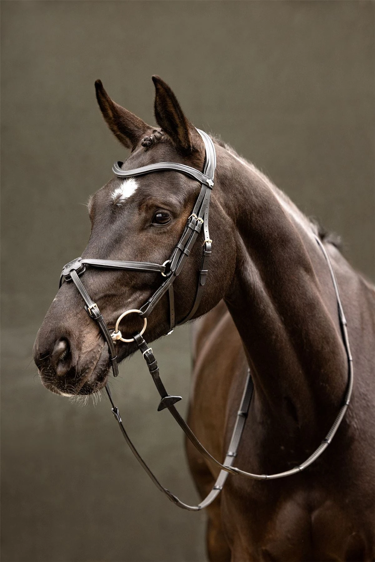 LeMieux Arika Grackle Bridle 11 LeMieux Arika Grackle Bridle - Image 9