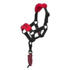 LeMieux Toy Pony Headcollar -Lemieux 66420 2