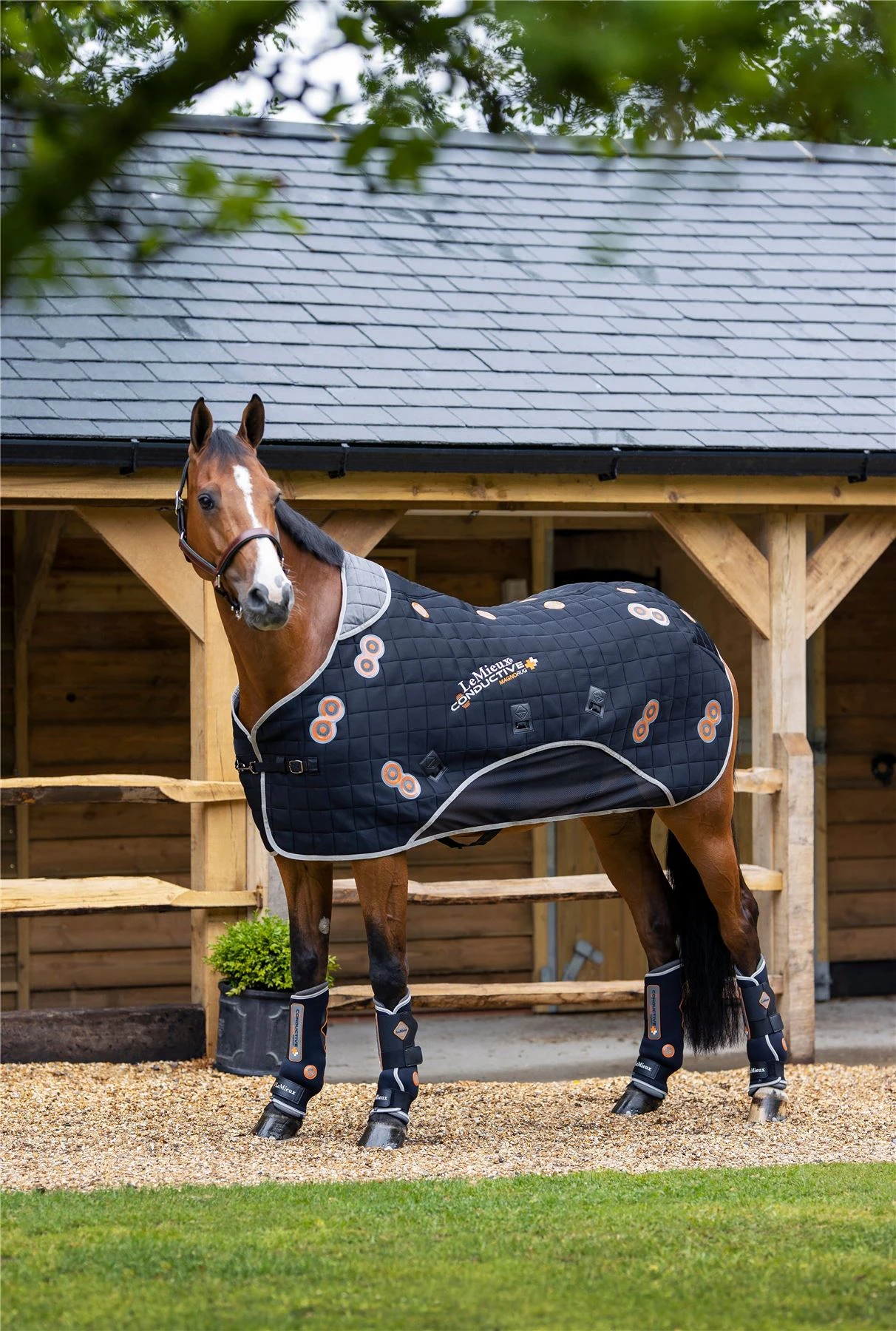 LeMieux Conductive Magno Rug 2 LeMieux Conductive Magno Rug