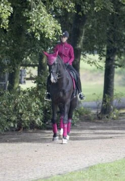 LeMieux Classic Polo Bandages -Lemieux 6687d661 3c63 4604 9a24 cd3818feaab8