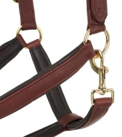 LeMieux Anatomic Headcollar 21 LeMieux Anatomic Headcollar -Lemieux 66d8fb17 f48f 43c4 af04 5c7903bea571 b2de8bcc c95c 44f3 92f3 6ae5d65bdb35