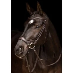 LeMieux Arika Drop Bridle 8 LeMieux Arika Drop Bridle -Lemieux 67406 2