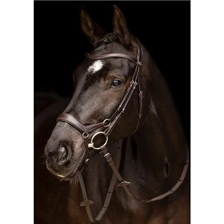 LeMieux Arika Drop Bridle 5 LeMieux Arika Drop Bridle - Image 3