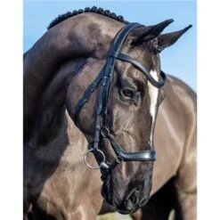 LeMieux Arika Drop Bridle 9 LeMieux Arika Drop Bridle -Lemieux 67406 3