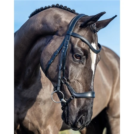 LeMieux Arika Drop Bridle 6 LeMieux Arika Drop Bridle - Image 4