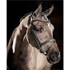 LeMieux Arika Flash Bridle -Lemieux 67408 2