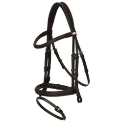 LeMieux Arika Flash Bridle