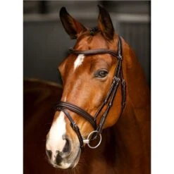LeMieux Arika Flash Bridle -Lemieux 67408 3