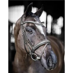 LeMieux Arika Dressage Bridle -Lemieux 67409 2