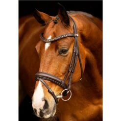 LeMieux Arika Dressage Bridle -Lemieux 67409 3