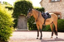 LeMieux Puissance Suede CC Pad -Lemieux 67fedf67 5098 45e5 abe5 917fde67cca4 f11e74f9 5211 4044 ba01 7b918eb8e0b0