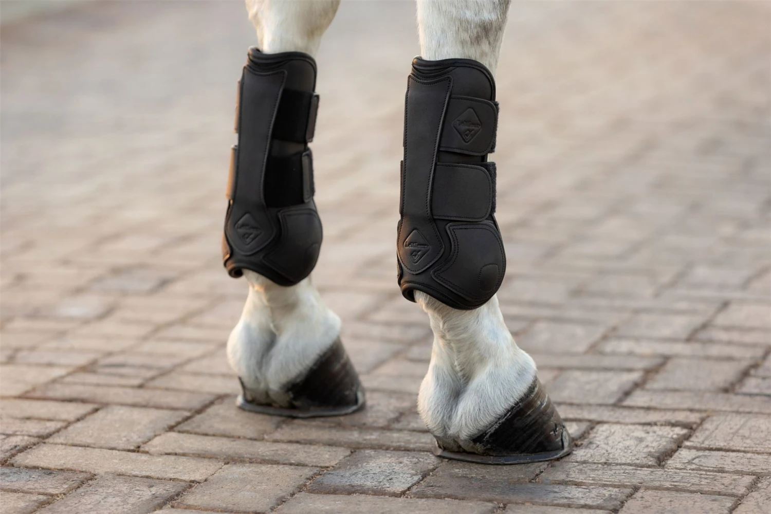 LeMieux Capella Tendon Boots 11 LeMieux Capella Tendon Boots - Image 9