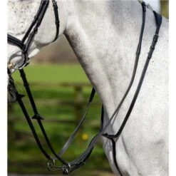 LeMieux Kudos Running Martingale 10 LeMieux Kudos Running Martingale -Lemieux 69664 3