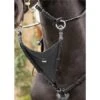 LeMieux Kudos Bib Martingale Attachment 1 LeMieux Kudos Bib Martingale Attachment -Lemieux 69724