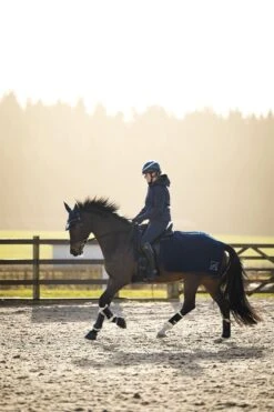 LeMieux Clima-Tek Exercise Quarter Sheet -Lemieux 69b22740 139a 4b54 b2f2 acf359e95ac4