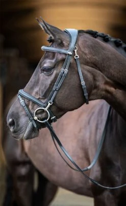 LeMieux Work Bridle -Lemieux 69fe5c15 eae1 4c22 aa78 9f35c41da716 5f7c53ed cebc 42b0 b1bb 97843f633e99