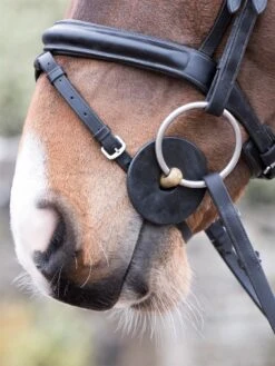 LeMieux Silicone Bit Rings -Lemieux 6a362be5 182f 4f58 a15a 2bf7a91eb2a9 7788726b 8d5c 4431 b2d7 4cbefacf02a3