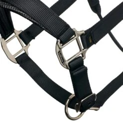LeMieux Break Away Headcollar -Lemieux 6a665f4d f42b 4bcf 9cab 51637674d0a0 e5856f5c ec6a 437c 9dad 5a2971bf0ba3