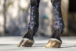 LeMieux Ultra Mesh Snug Boots Hind -Lemieux 6aeff574 6024 4685 96a0 3a024d712dc6 aedfe001 cfa3 4143 a42b 13ebc9e16df2