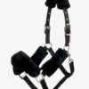 LeMieux Comfort Headcollar -Lemieux 6dae5545 1b97 4e32 b309 3c1c42c8ebff