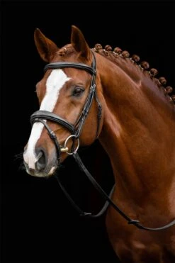 LeMieux Competition Flash Bridle -Lemieux 6ee985aa cb52 4f85 adc6 4d1c05d325d7