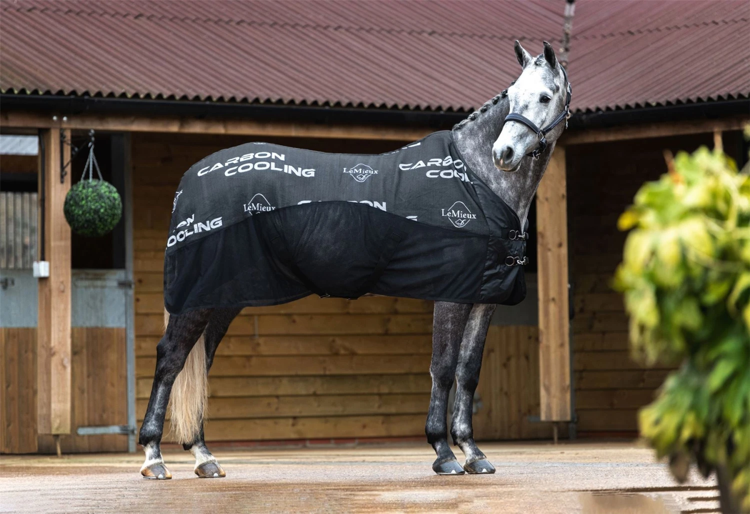 LeMieux Carbon Cooler Rug 4 LeMieux Carbon Cooler Rug - Image 2