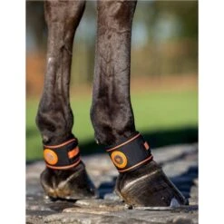 LeMieux Magno Pastern Wrap 5 LeMieux Magno Pastern Wrap -Lemieux 70041 1