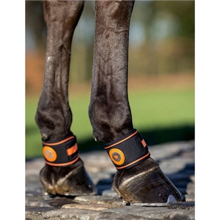 LeMieux Magno Pastern Wrap 4 LeMieux Magno Pastern Wrap - Image 2