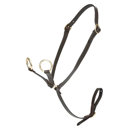 LeMieux Toy Pony Martingale 4 LeMieux Toy Pony Martingale - Image 2