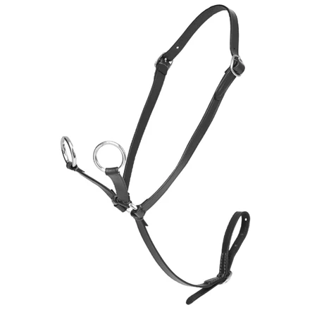 LeMieux Toy Pony Martingale 3 LeMieux Toy Pony Martingale