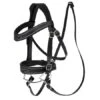 LeMieux Hobby Horse Competition Bridle -Lemieux 70344