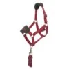 LeMieux Hobby Horse Headcollar 1 LeMieux Hobby Horse Headcollar -Lemieux 70347