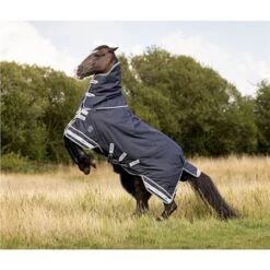 LeMieux Arika Storm-Tek Medium Weight Turnout Rug 200g 10 LeMieux Arika Storm-Tek Medium Weight Turnout Rug 200g -Lemieux 70598 2