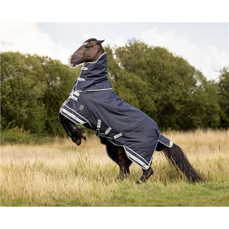 LeMieux Arika Storm-Tek Heavy Weight Turnout Rug - 350g 4 LeMieux Arika Storm-Tek Heavy Weight Turnout Rug - 350g - Image 2