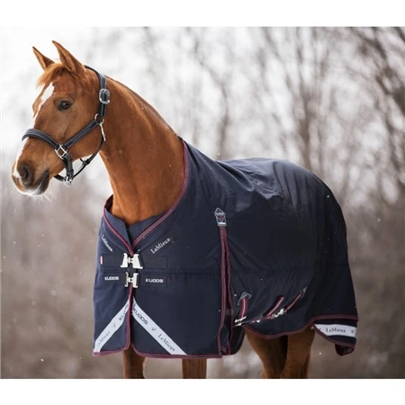 LeMieux Kudos Turnout Rug - 100g 5 LeMieux Kudos Turnout Rug - 100g - Image 3