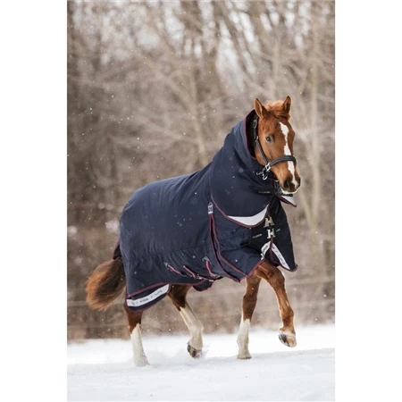 LeMieux Kudos Turnout Rug - 100g 8 LeMieux Kudos Turnout Rug - 100g - Image 6