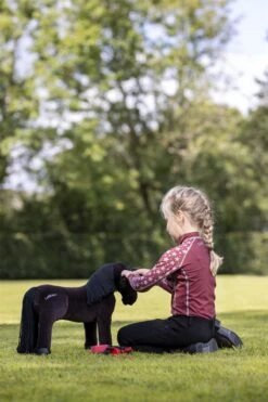LeMieux Toy Pony Grooming Kit 12 LeMieux Toy Pony Grooming Kit -Lemieux 7258637a 662d 423b 9857 ae06009ec34e 37102d20 0302 46ab a318 f25a6c559f8f