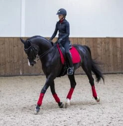 LeMieux Classic Polo Bandages -Lemieux 775b8963 bbb2 4780 b842 e1f1f1dd2cd2