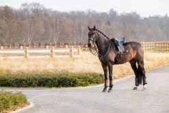 LeMieux Puissance Suede Dressage Pad -Lemieux 782e4b61 4b4e 4bd4 b2d5 433532c72ecb 4c52b738 8408 40c9 b3e3 bc43c57fd3b0