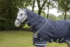 LeMieux Arika Featherweight Neck Cover 0g -Lemieux 7888828f 9d9e 4d3e 9e90 aa8d1fc2d3ea 2c04bbdc 6af0 400e afff 12ed64a96f05