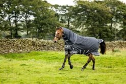 LeMieux Arika Storm-Tek Rug 100g -Lemieux 79538d61 c5f2 4eab b6ee 52c08e676302 951e429a 721b 4424 9295 ad8542b19762