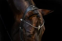 LeMieux Classic Dressage Bridle -Lemieux 7b3e48d3 71cd 4ffa 9b3a a96dbb716a14 7d2f3b2e cbfe 4e58 9d5d 980040dc309c