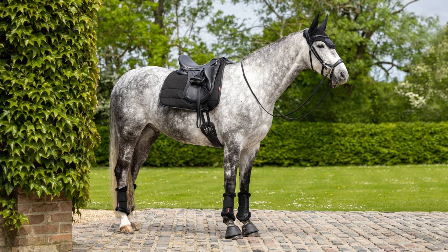 LeMieux Dressage Work Pad 4 LeMieux Dressage Work Pad - Image 2