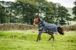 LeMieux Arika Storm-Tek Rug 100g -Lemieux 7c2e5406 d0e9 496b 93d6 f5d7bed0b29e cf907c0c 1d79 42bc 878f 9a923a61d4c8