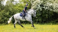 LeMieux Jump Work Pad -Lemieux 7e269a2c 2151 4f07 ab1c 8e4822bb9dcd df1c1c5a 34c3 4405 8ec6 16aab1214037