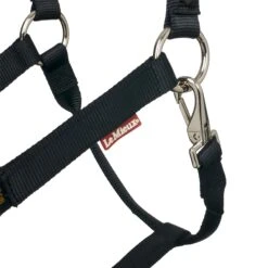 LeMieux Break Away Headcollar -Lemieux 7ee05a72 555e 4b41 b2ba 5e5ea59ad951