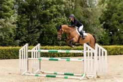 LeMieux Crystal Suede Close Contact Pad 39 LeMieux Crystal Suede Close Contact Pad -Lemieux 8434c4b4 72d8 4f69 8dd6 9dba13079123